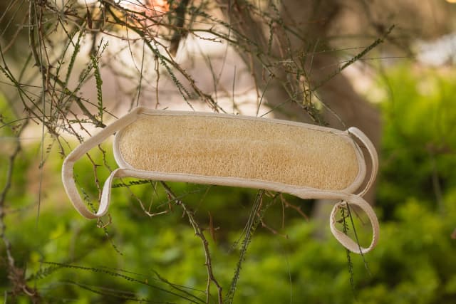 Calyva Back Exfoliating loofah